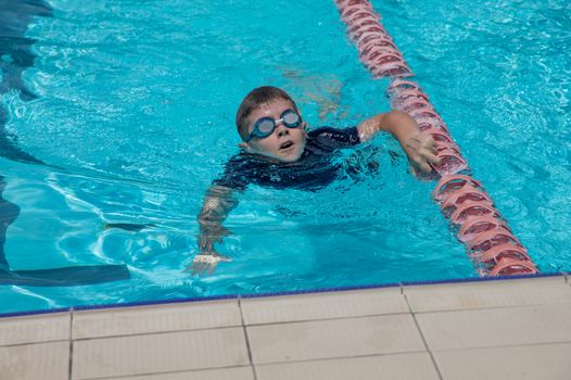 Year 4 8 swimming carnival 1778