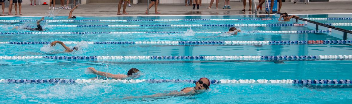 Year 4 8 swimming carnival 1707