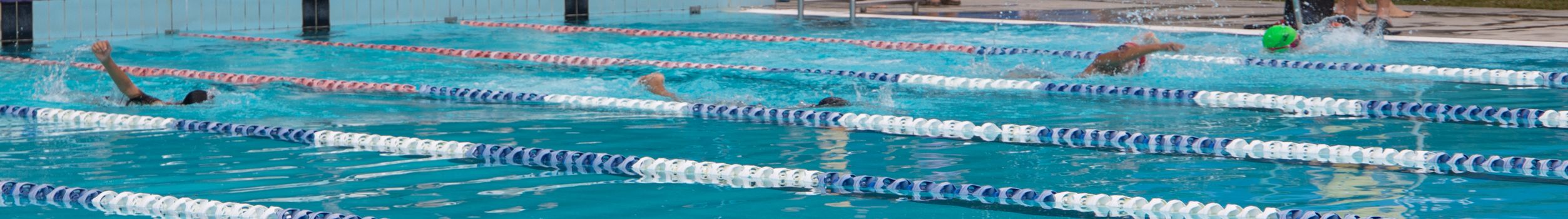 Year 4 8 swimming carnival 1709