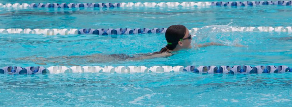 Year 4 8 swimming carnival 1717