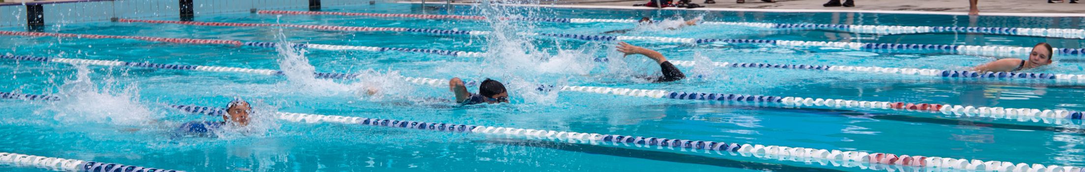 Year 4 8 swimming carnival 1718