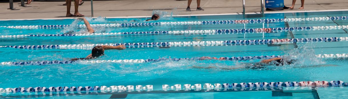 Year 4 8 swimming carnival 1803