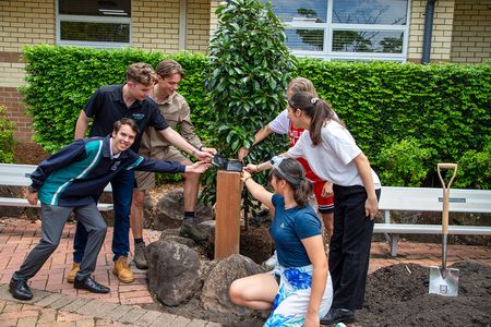 Year 12 Legacy Day Tree Plant 13