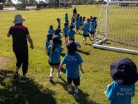 Bush kindy 4644