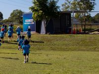 Bush kindy 4646