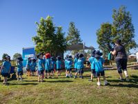 Bush kindy 4647