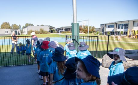 Bush kindy 4642