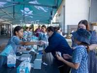 Life sausage sizzle 5679