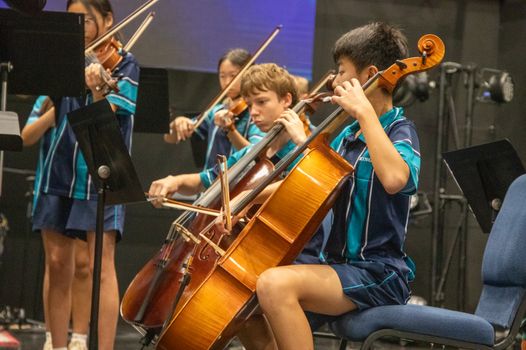 Pimpama at LV 4716