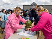 Watermelon explosion 4415