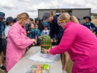 Watermelon explosion 4416