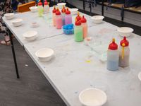 Yr 1 street science incursion 5229