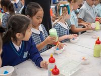 Yr 1 street science incursion 5230