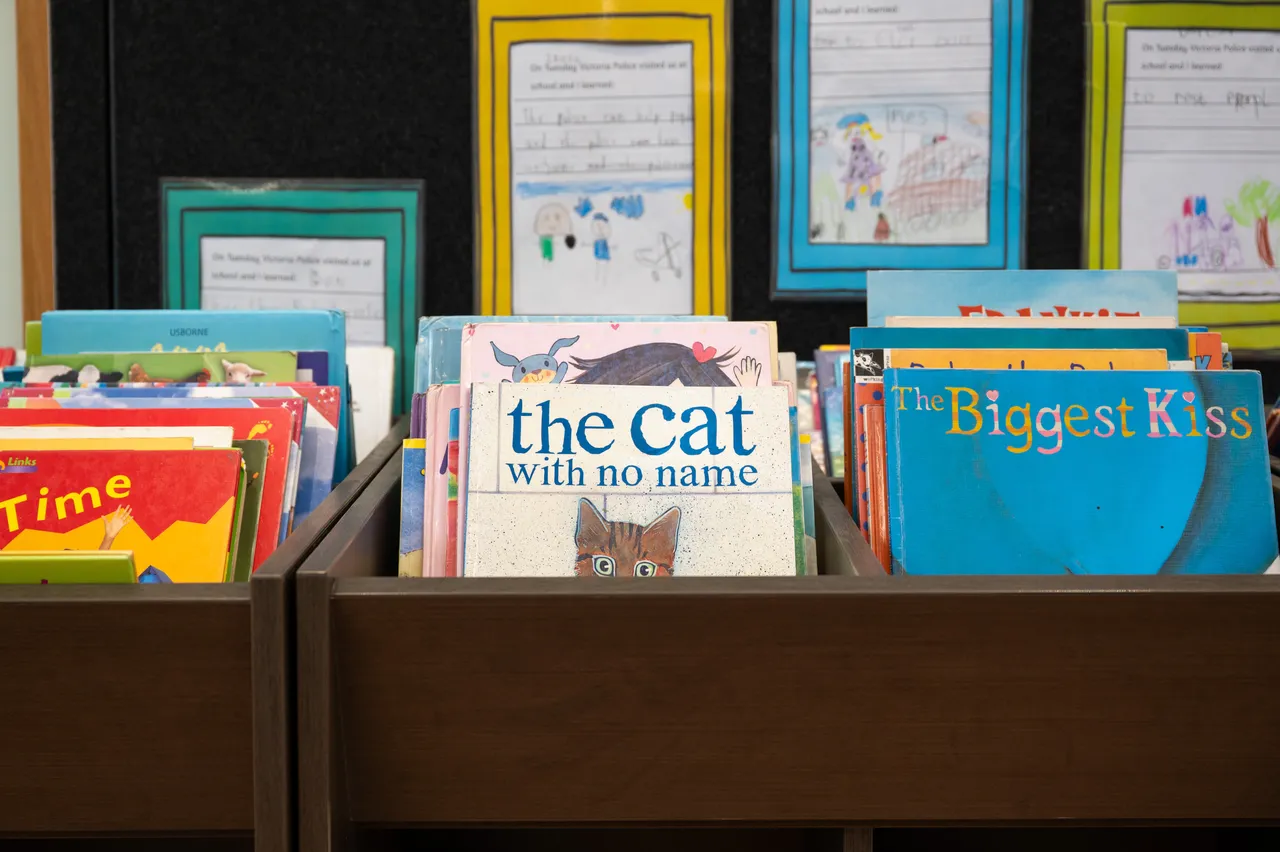 Photo of a small library of brightly coloured illustrated children's books.