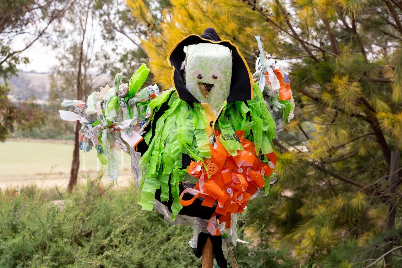 Close-up of a student-made scarecrow inspired by the endangered Orange-bellied Parrot, constructed from sustainable materials.  Designed by lower secondary school-aged students who participate in Overnewton's Synergy Sustainability Group.