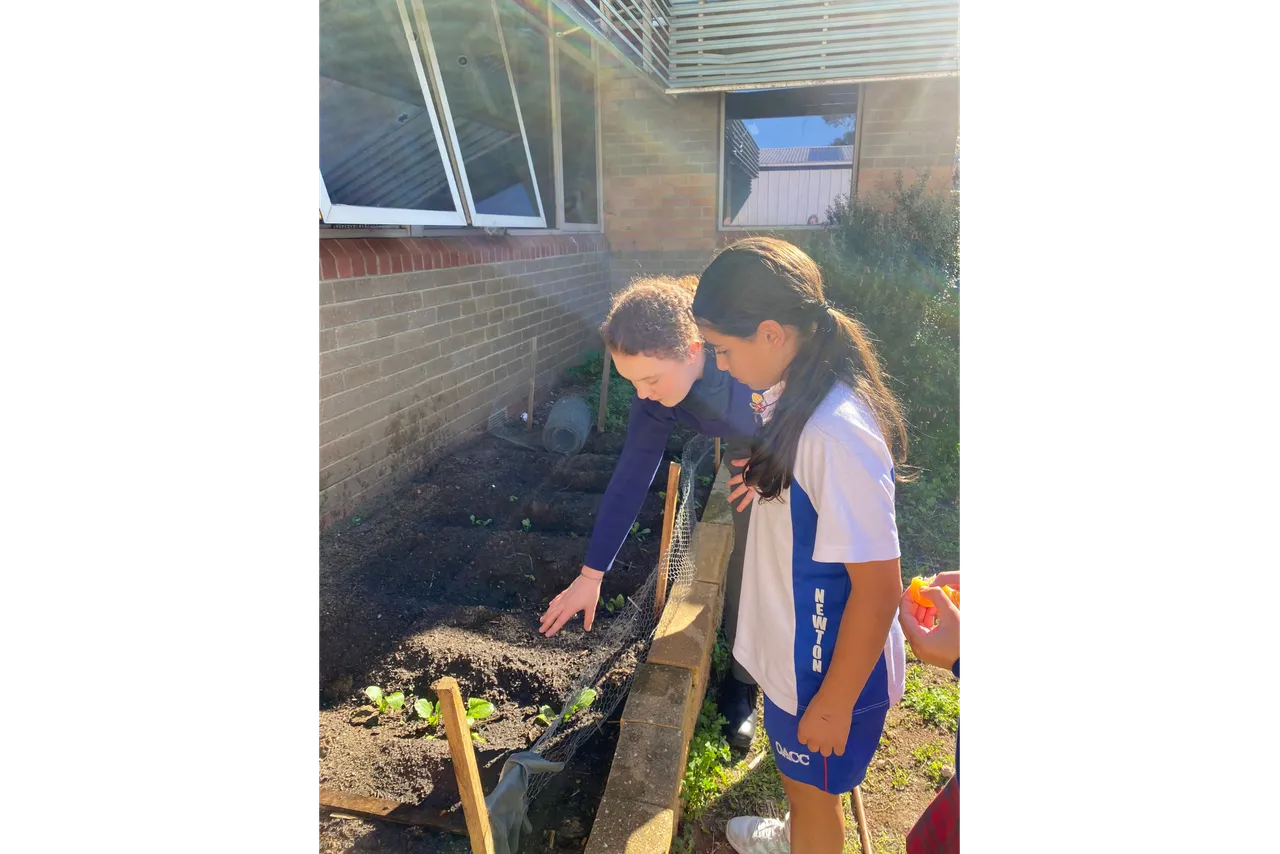 Middle and upper secondary school aged students discussing the seedlings newly planted in the vegetable garden located at the Middle School at Overnewton's Yirramboi Campus, Keilor.