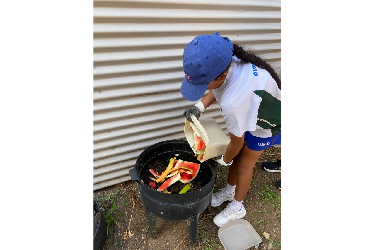 Middle secondary school aged student from Middle School loading food canteen food scraps into a compost bin at the vegetable gardens at Overnewton's Yirramboi Campus, Keilor.
