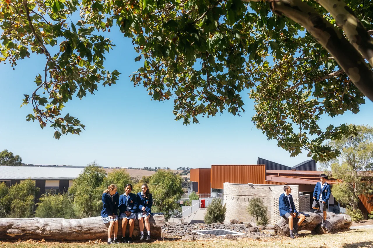 Upper high school aged students sitting on a log at Yirramboi Campus, enjoying the outdoors with the Middle School building in the background.