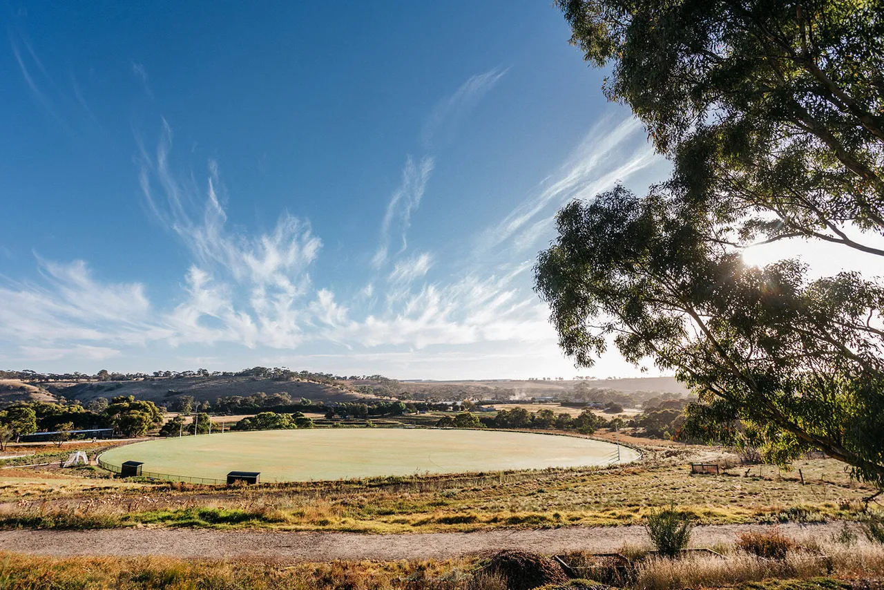 Breathtaking view of the sports field at Yirramboi Campus, with trees in the foreground, a clear blue sky, and the Keilor Valley in the distance.