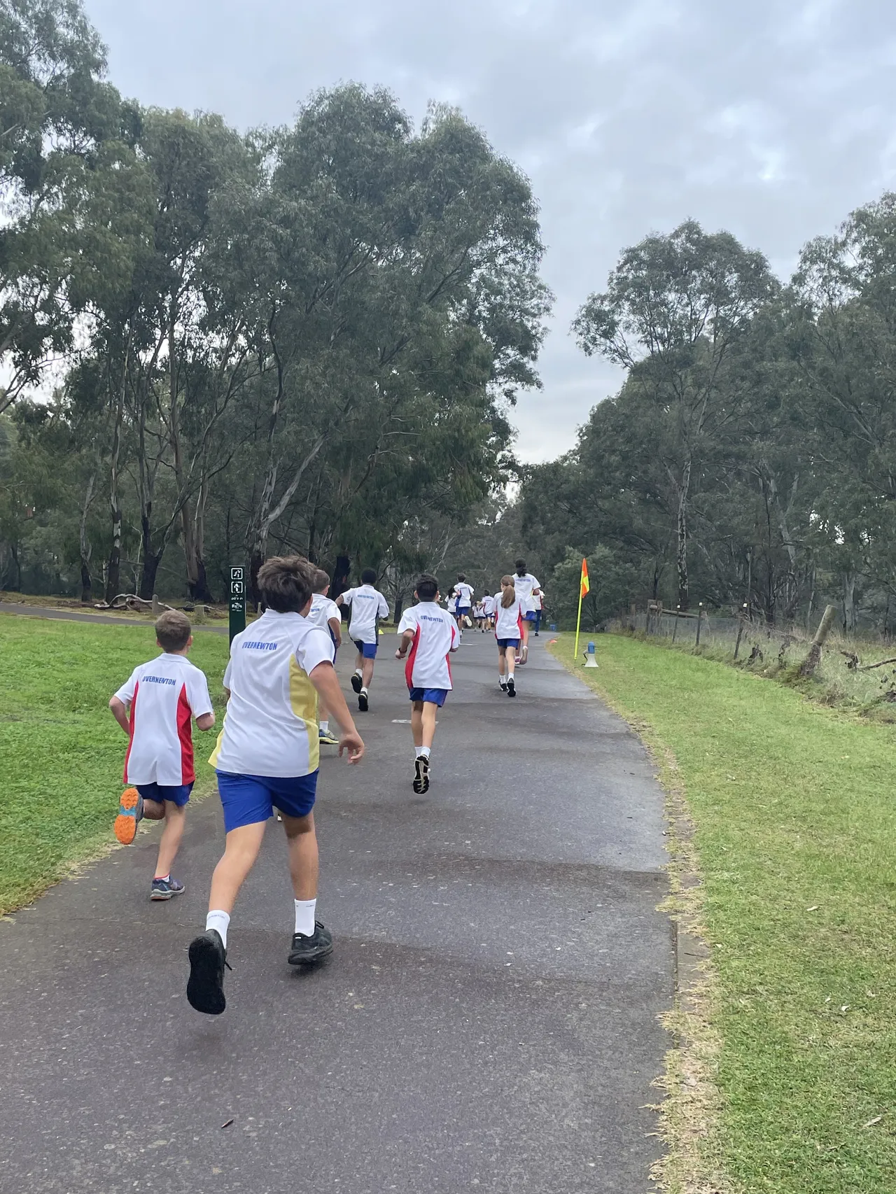 A large group of middle secondary school aged students running along a sealed road, captured from behind, as they participate in the annual House Cross Country running competition.