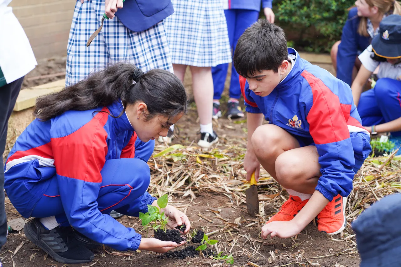 Middle School student from the Sustainability Team planting vegetables in the garden at Yirramboi Campus, contributing to Overnewton’s environmental initiatives.
