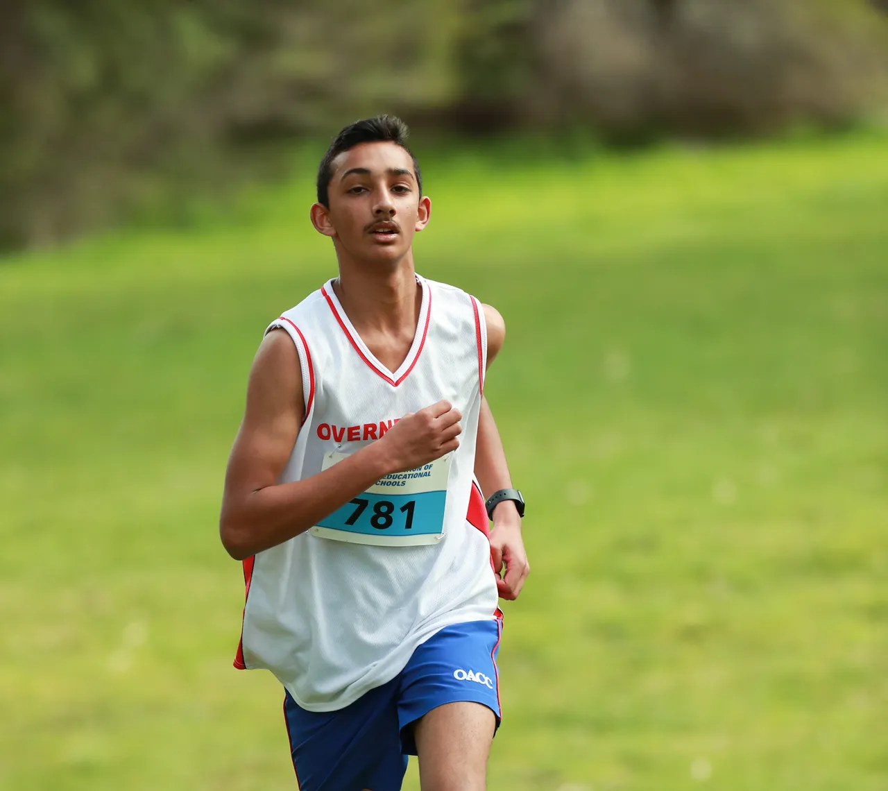 Middle secondary school aged student captured mid-stride running through a green park, proudly representing Overnewton in the Association of Co-Educational Schools Cross Country competition.