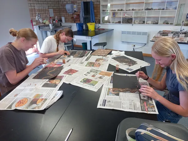 https://media.digistormhosting.com.au/oss-au-act-1576-website-2025/content/T4-W3-Leaflet-2026/Year-8-ochre-painting-3.jpg?v=1793240821
