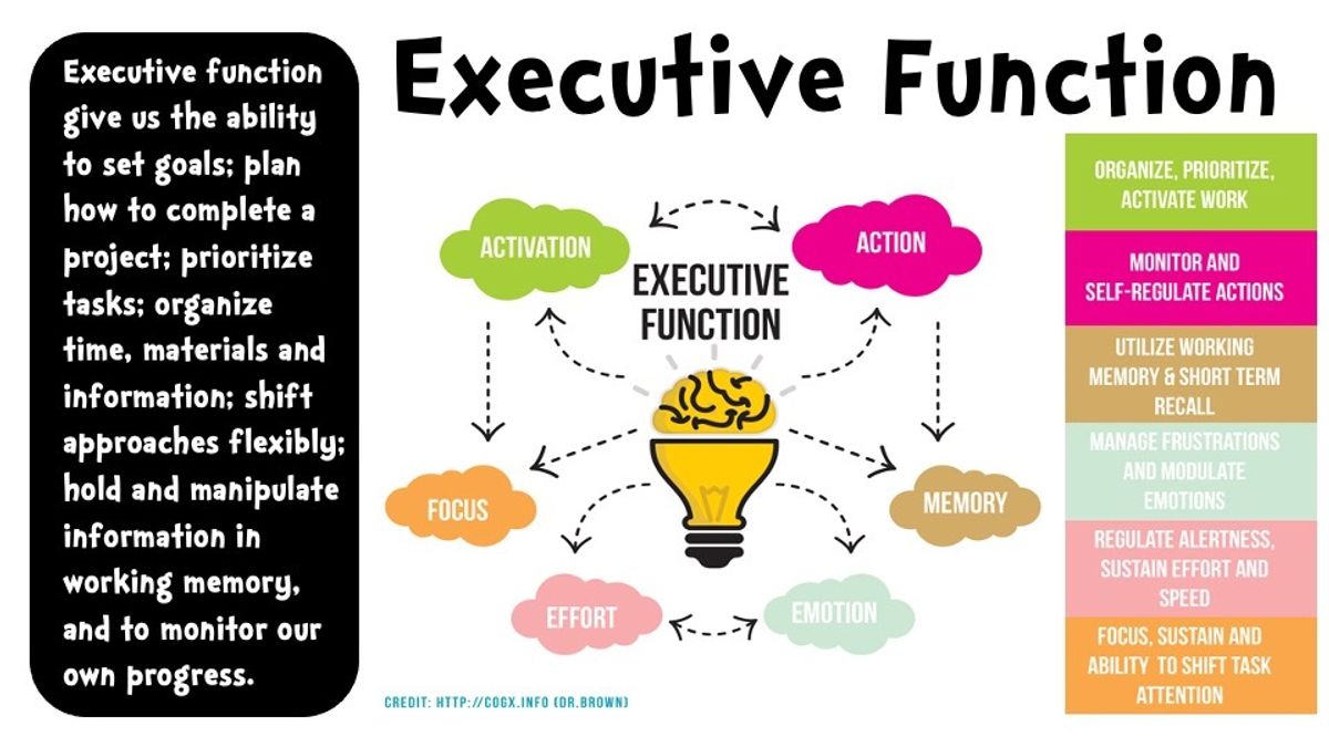 Details of Executive Function