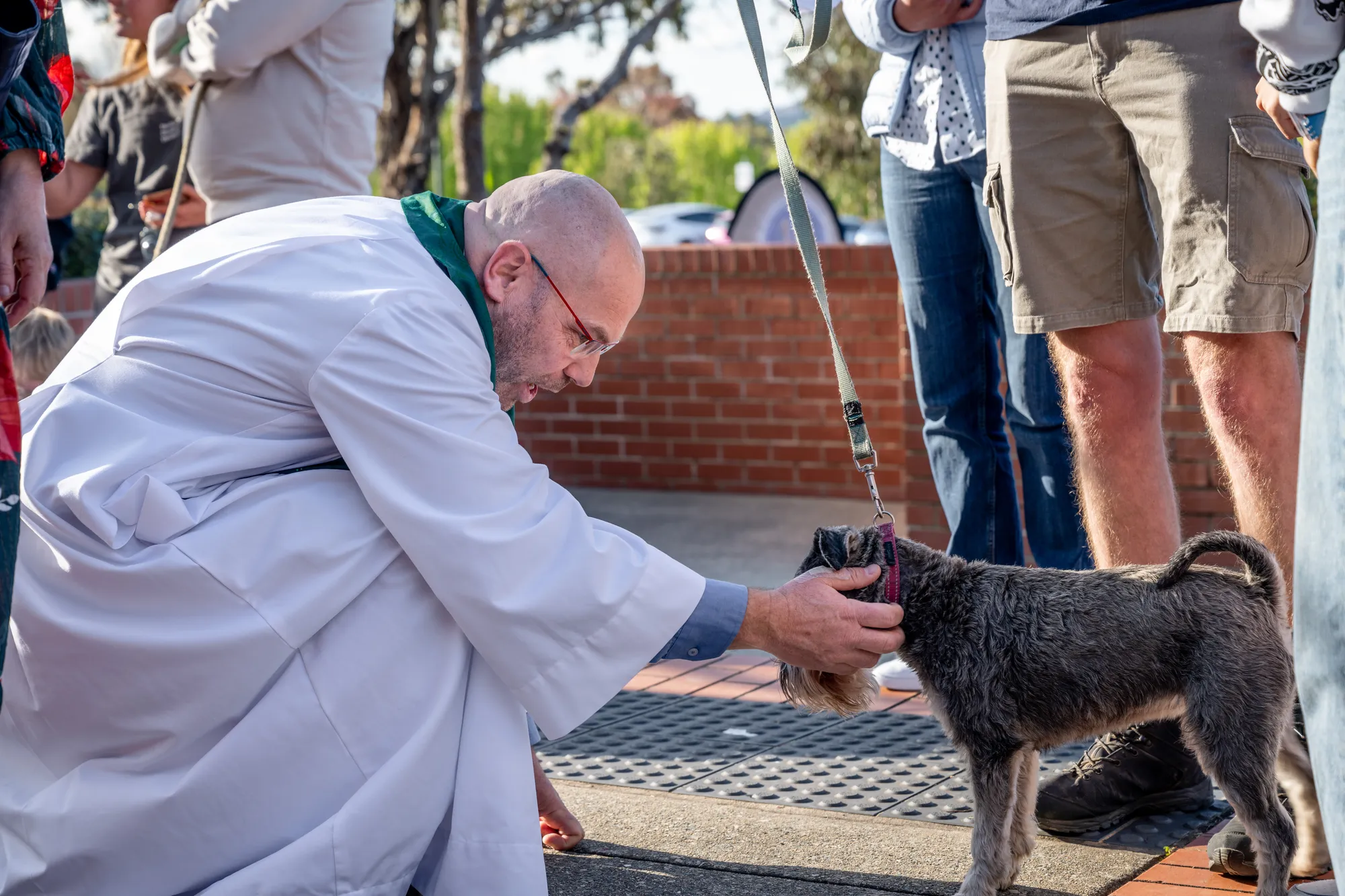 Blessing of the pets