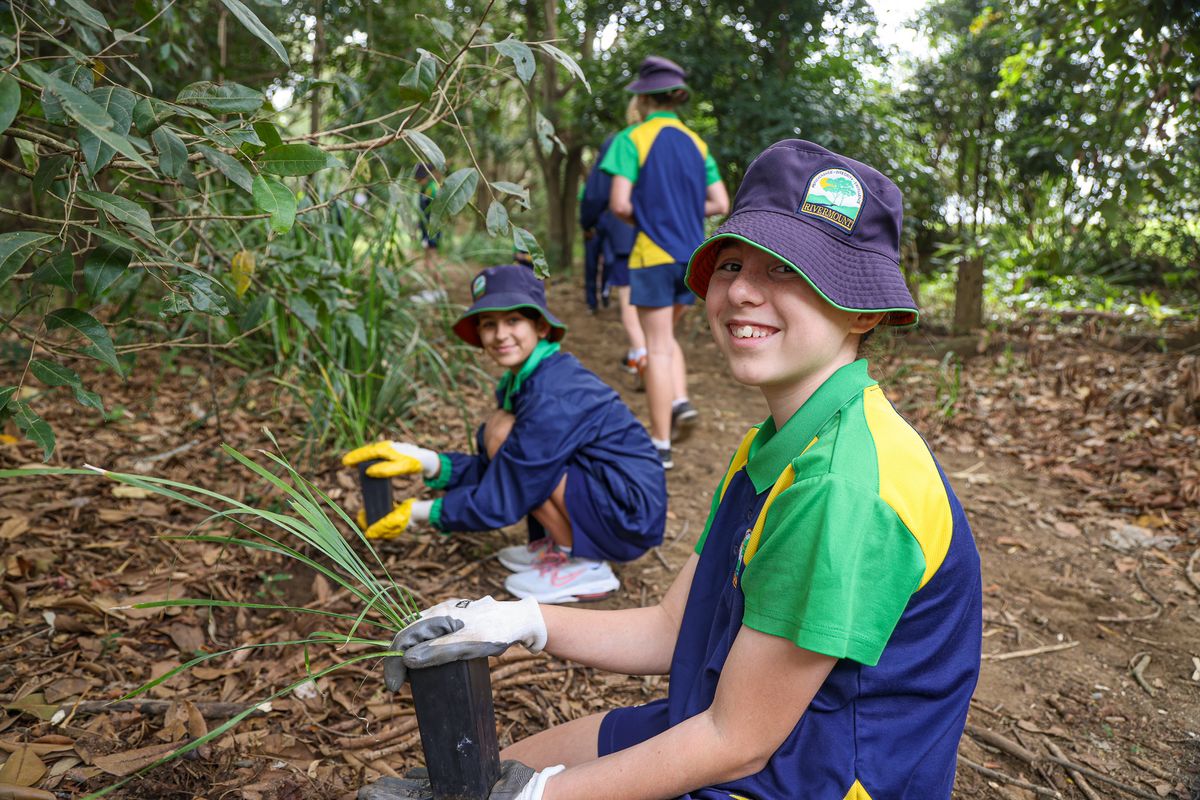 College green thumbs get dirty for World Environment Day | Rivermount ...