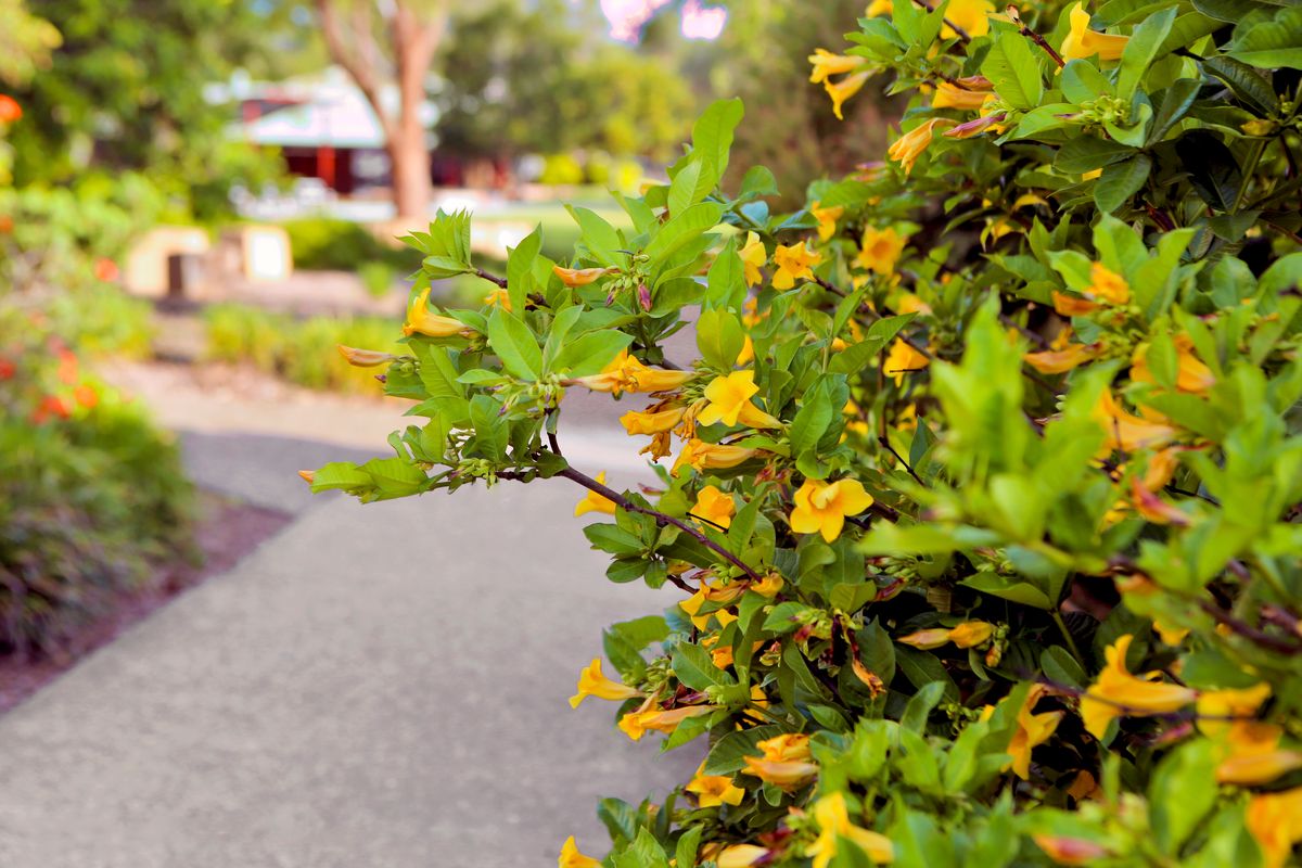 international-students-rivermount-college