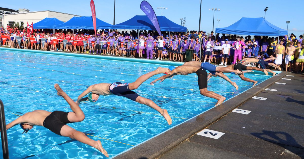 Cargill ‘King of the Pool’ at College Swimming Sports - Saint Kentigern ...
