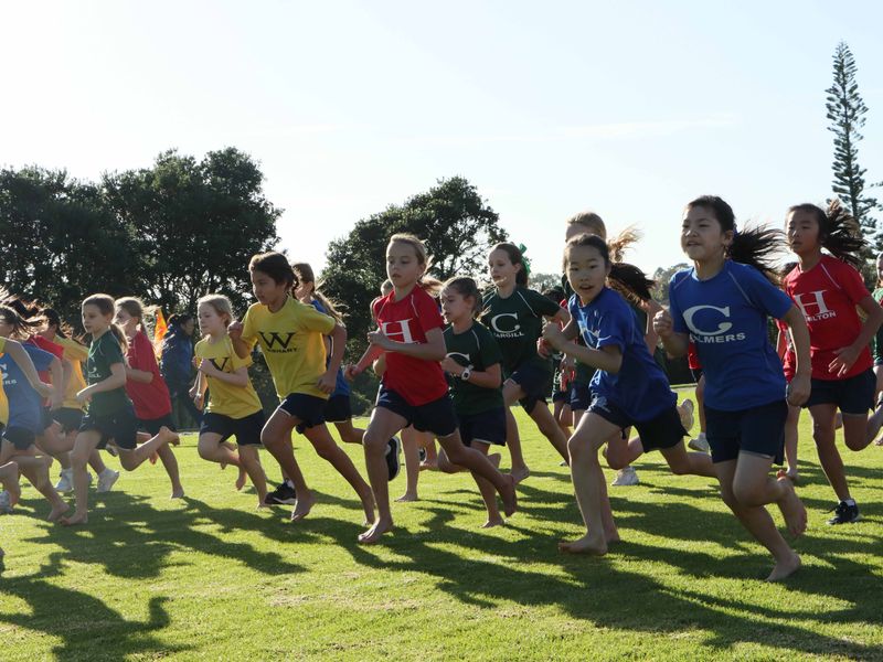 A Clean Sweep for Wishart