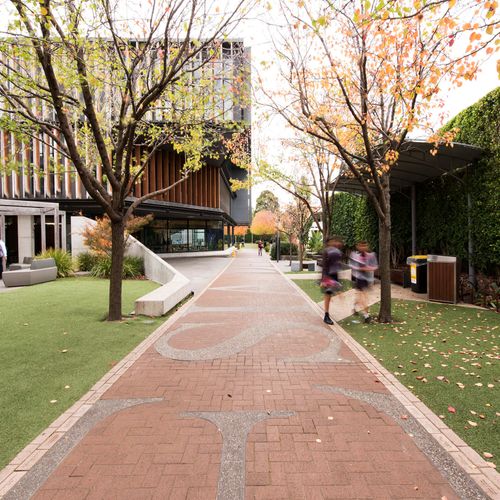 A tree-lined pathway through the St Michael's Grammar School campus on an autumn day.
