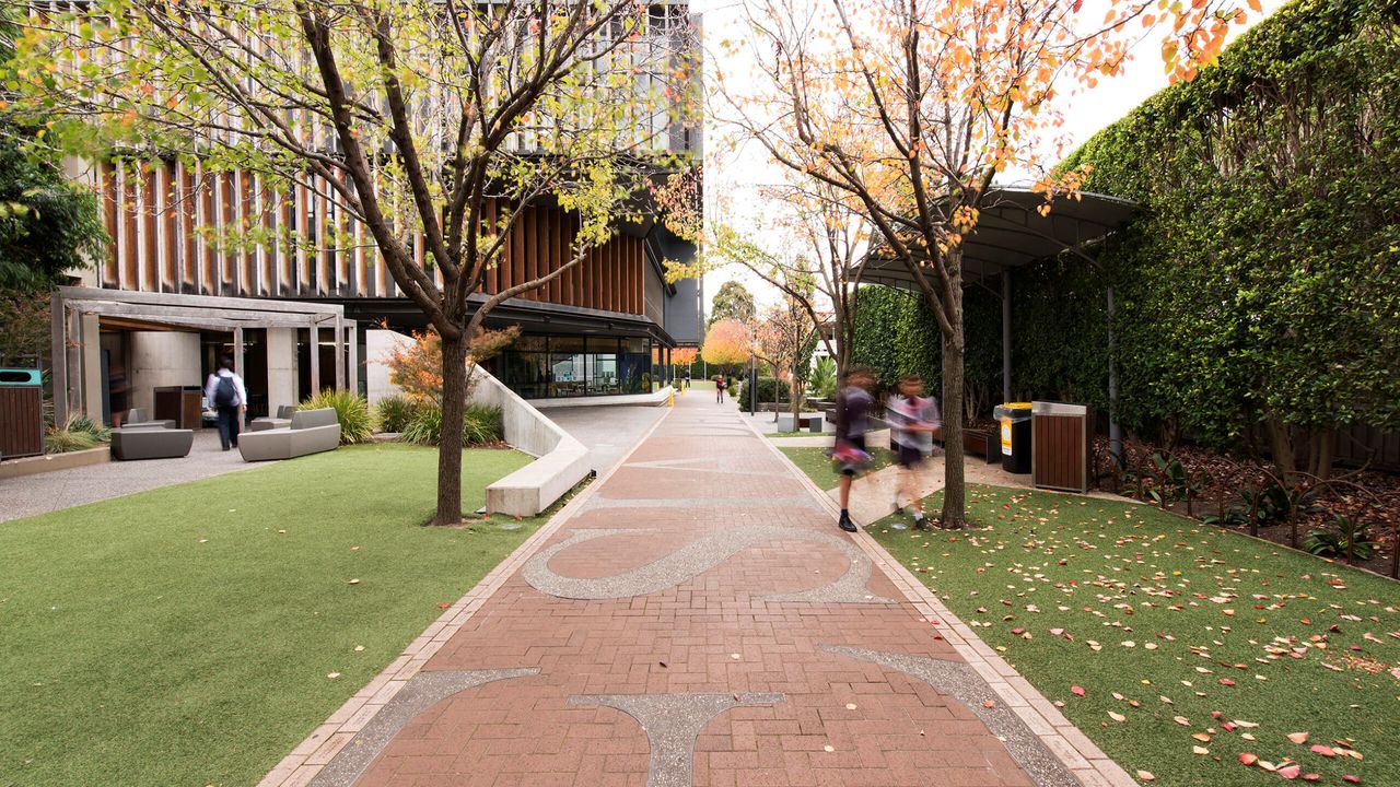 A tree-lined pathway through the St Michael's Grammar School campus on an autumn day.